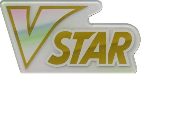 Pokemon VSTAR Acrylic Marker