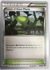 pokemon world championship cards forest of giant plants 74 98 wc