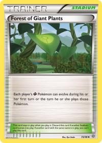 pokemon xy ancient origins forest of giant plants 74 98