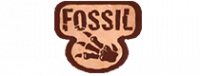 Fossil (1st Edition)